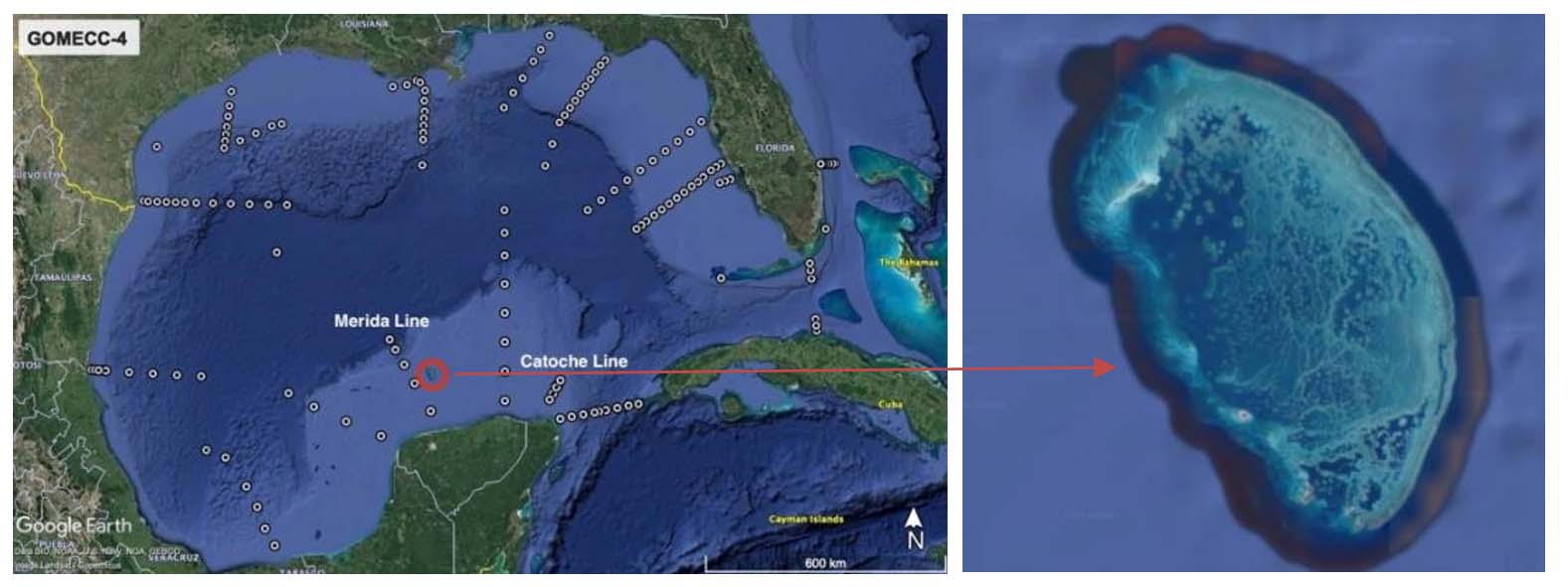 GOMECC-4 station plan showing the two new lines in Mexico and location of Alacranes Reef 