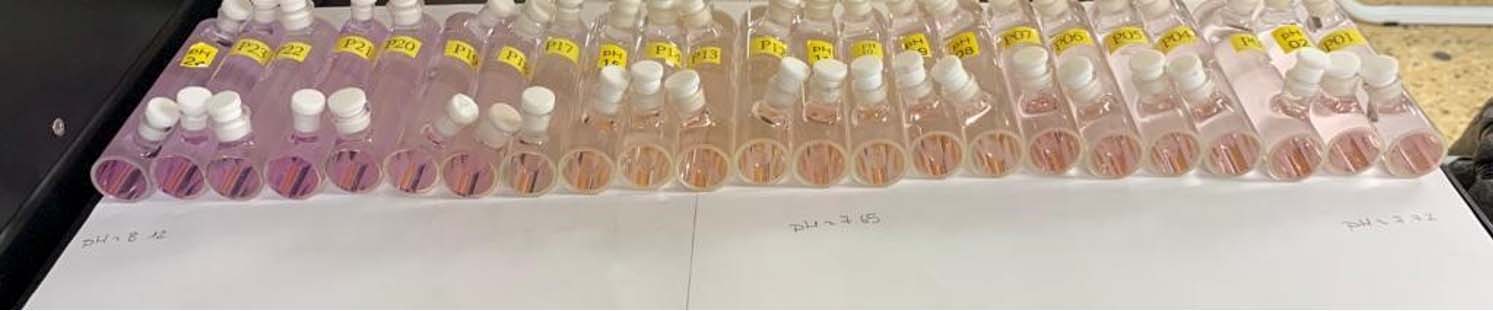 Figure 2: pH samples collected at station 98 (23.183N, 90.642W) from surface (left) to bottom (right).