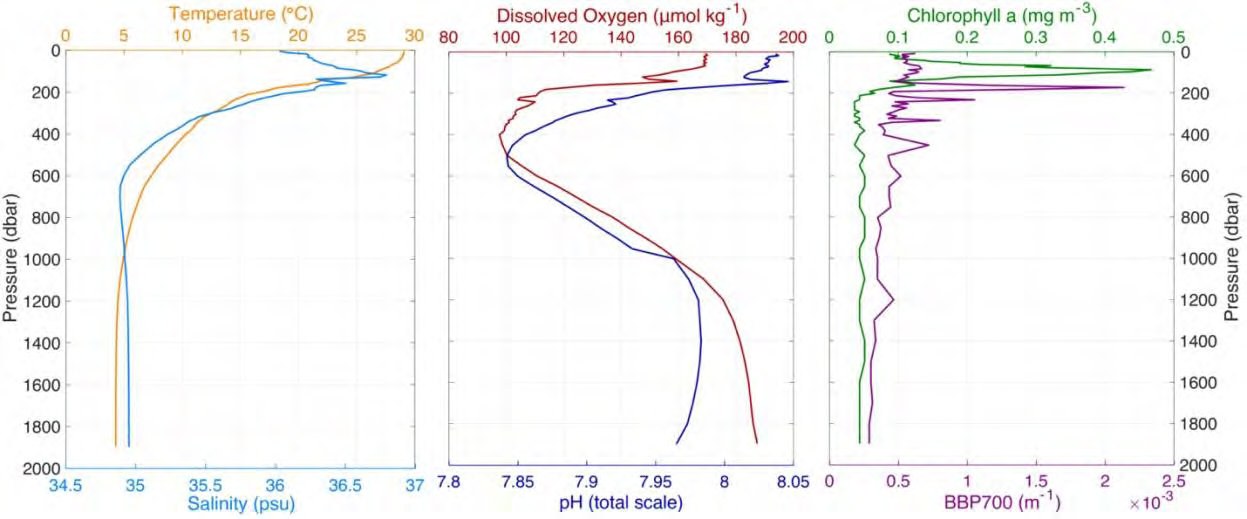 GOMECC-4 Cruise Gulf of Mexico 2021: First profile sent by the BGC-Argo float deployed on September 22nd.