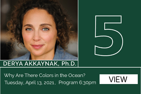 Sea Secrets 2021 Lecture 5 - Derya Akkaynak, Ph.D